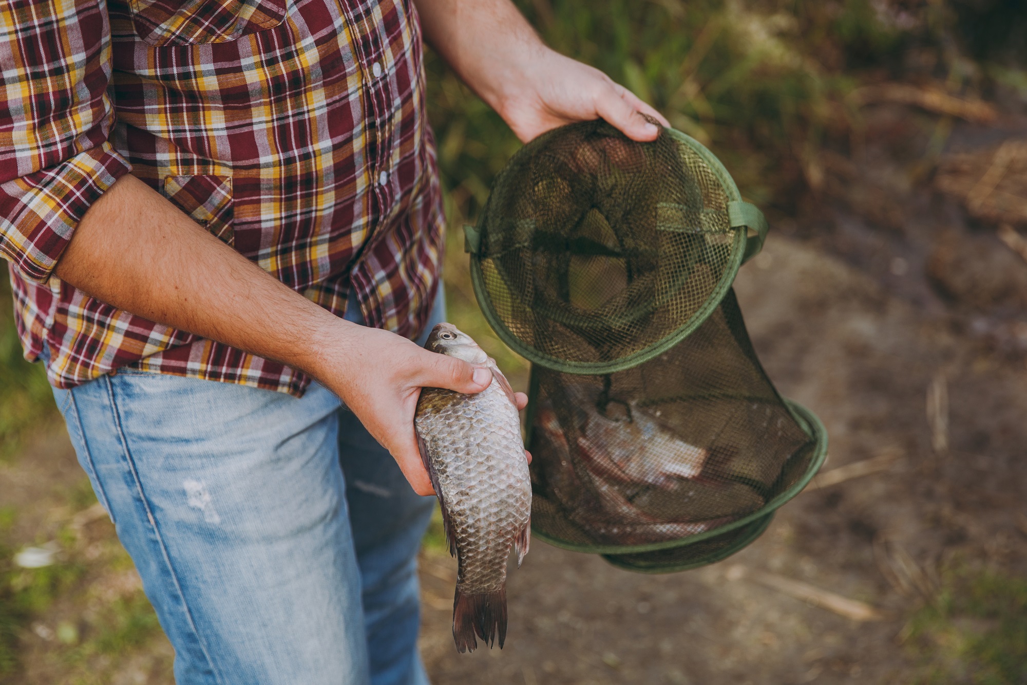 Ці хитрощі допоможуть рибалкам наловити повний садок карасів